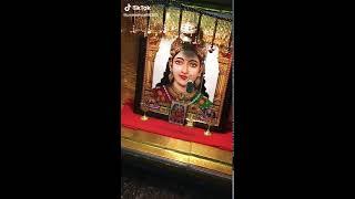 Jay chehar ma