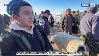 БЕРУНИЙ КУЙ КУЧКОР БОЗОРИ 29.09.2024