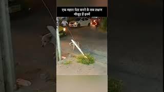  dramabaaz dog 