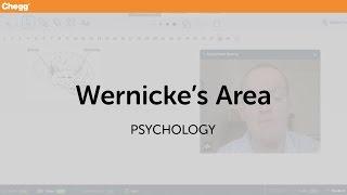 Wernicke's Area | Psychology | Chegg Tutors