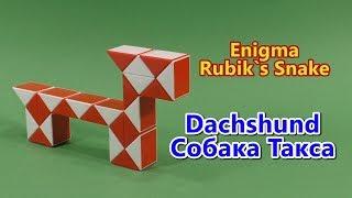 Змейка Рубика СОБАКА ТАКСА | Rubik`s Snake DACHSHUND