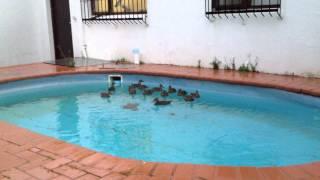 IMG 0127