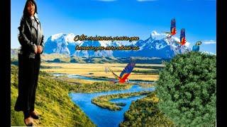 AKWITAHO  BY DEVOTHA UM(VIDEO LYRICS)