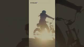 SOLETAN eBike – The Ultimate Electric Bike for Performance & Comfort!