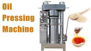 Commercial Oil Press Machine Demo: Boosting Your Productivity #oil #press #farming #agriculture