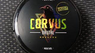 Обзор на СНЮС CORVUS BRUTAL 68 MG