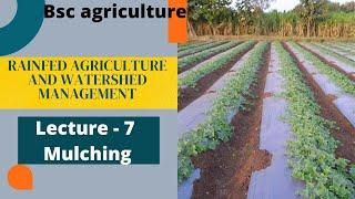 RAINFED AGRICULTURE AND WATERSHED MANAGEMENT | Lecture - 7 Mulching | Go Agro