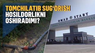 Suvni tejash orqali hosildorlikni oshirayotgan fermerlar bilan suhbat