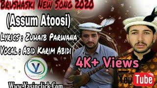 Brushaski New Song  Lyrics:|| Zuhaib Parwana|| Vocals: ||Abid karim abidi|| ~Yasin Click~