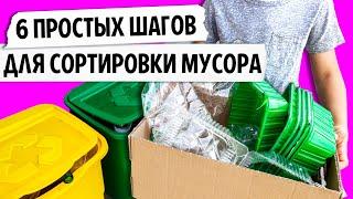 6 простых шагов для сортировки мусора. Как сортировать мусор? | Да!Но.