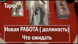 Таро.Ваша новая РАБОТА ( должность) Что ожидать/ Гадание на Таро он-лайн