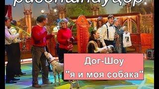 Ризеншнауцер в программе "Дог - шоу я и моя собака".