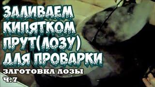 ️ЗАЛИВАЕМ ПРУТ(ЛОЗУ) КИПЯТКОМ для ПРОВАРКИ ️ЗАГОТОВКА ЛОЗЫ Ч.7 ПЛЕТЕНИЕ из ЛОЗЫ / WICKERWORK