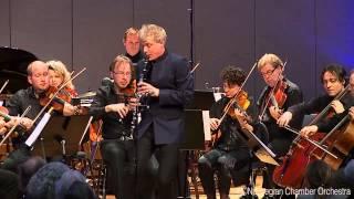 Johannes Brahms: Hungarian Dance No. 21 Vivace - Piu presto (arranged by Göran Fröst)