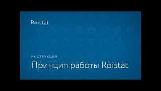 Бизнес аналитика   Принцип работы Roistat