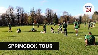 WATCH | Springboks serenaded by bagpipes and sunshine as hype builds for Scottish Test