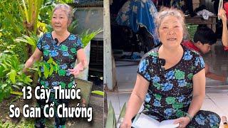 Đang Mang Bầu Lại Thêm Bệnh Sơ Gan Cổ Chướng Hồi Phục Thần Kì Nhờ 13 Cây Thuốc Này.!