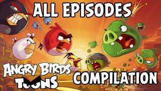 Angry Birds Toons Compilation | Season 1 All Episodes Mashup