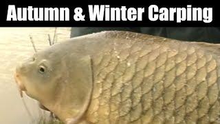 Autumn & Winter Carping