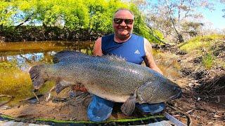 INSANE Yellowbelly Fishing Gone Wild With A Massive Murray Cod Landed!