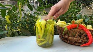 How to Pickle Chilli Peppers. |speca djeges|