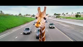 The Hangover - Part III (2013) Giraffe Scene