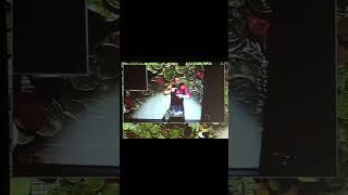 Magic by RYAN HAYASHI - Money From The Air LIVE Performance #magic #magician #Magier #show #shorts