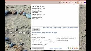 Bulk URL Opener - v.2.5