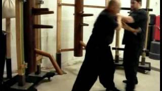 Master Jerry Cook Chinese Boxing 18 set Budda Palm / Wing Chun form4
