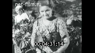 1955г. колхоз имени Хрущёва Крымская обл