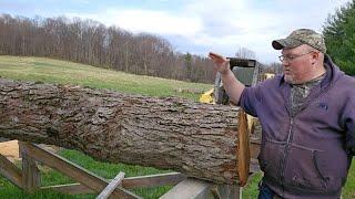 Sawmilling a KNOTTED Black Walnut to see the beauty it hides inside.