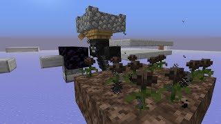 1.14 Skyblock Ep. 28: Wither Rose Farm