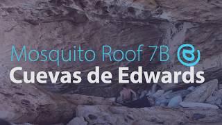 Mosquito Roof 7B