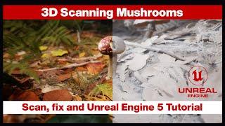 How to scan Mushrooms Photogrammetry, scan Reality Capture UE5