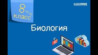 Биология. 8 класс. Компоненты экосистемы. Водные и наземные экосистемы /30.04.2021/