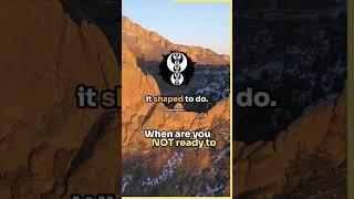 How do you know you're not ready to trade