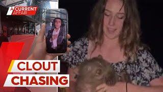 Wombats; speeding; dangerous stunts - how far influencers are going for fame | A Current Affair