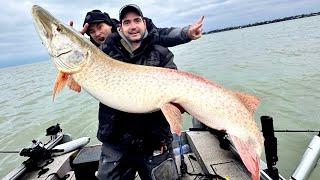 Big Musky Fishing | St Clair BIG TIMERS!