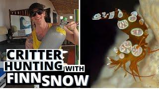 Critter Hunting in Dauin | Philippines Best Scuba Diving