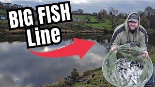 RIVER RIBBLE FLOAT FISHING - DACE AND CHUB MEGA NET