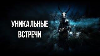 Skyrim РЕДКИЕ И УНИКАЛЬНЫЕ ВСТРЕЧИ