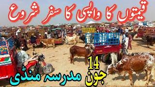 Mudresa Mandi Latest Rates Update  || New rate OR Old Rates Confirm || @catlebirdtv #trending