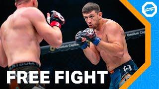 Terrifying LEFT HAND!  MICHAILIDIS vs. HULME | FREE FIGHT | OKTAGON 67: Tipsport Gamechanger 3