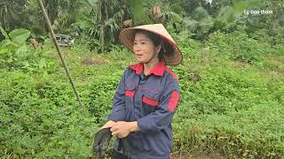 The single mother harvested peanuts to sell at the market – and took care of the flock of chickens.
