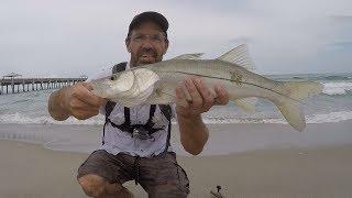 Juno Pier - Beach fishing For Snook On Artificials