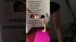 Yoga for Health: Wall Dogs & Armpit Stretch  ️ ‍️