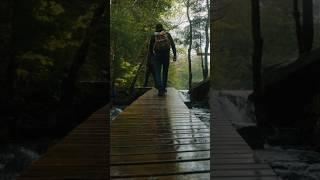 This is why you go on rainy hikes.