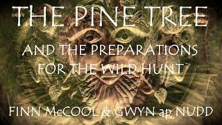 Around the Grove ~ PINE ~  and the preparations for the Wild Hunt