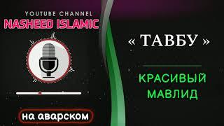 Тавбу на аварском языке / Мавлид на аварском / красивый нашид / Очень красиво