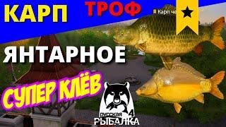 КАРП ТРОФЕЙНЫЙ ОТЛИЧНЫЙ КЛЁВ Оз. ЯНТАРНОЕ / ФАРМ  РУССКАЯ РЫБАЛКА 4  Russian Fishing 4  РР4